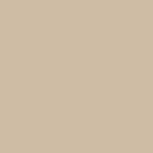Pheasant Hunter - AS Colour Womens Crop Tee Design