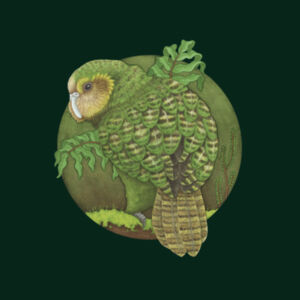 Kākāpō - AS Colour Mens Stencil Hoodie - AS Colour Mens Classic Tee Design