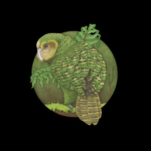 Kākāpō - AS Colour Mens Stencil Hoodie - AS Colour Kids Classic T shirt Design
