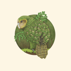 Kākāpō - AS Colour Mens Stencil Hoodie - AS Colour Parcel Tote Design