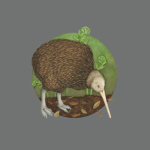 Kiwi - AS Colour Kids Classic T shirt Design