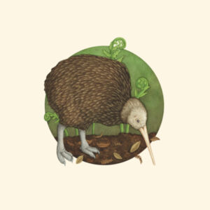 Kiwi - AS Colour Parcel Tote Design