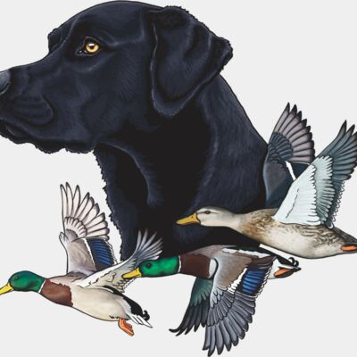 Duck Dog 45  brighter Thumbnail